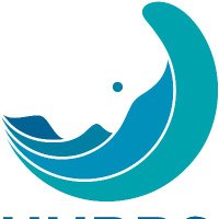 HubbsSeabass (@hubbsseabass) 's Twitter Profile