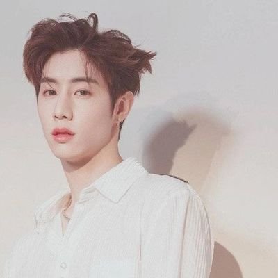 dogebeer's profile picture. 