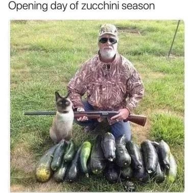 sectIVrunfan's profile picture. LOTR olympian