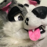 Rufus ๐ Stratosfur (@doofusafterd) 's Twitter Profile