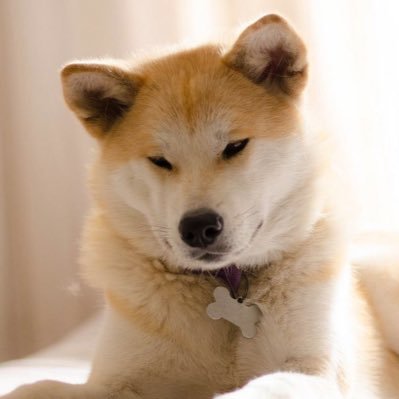 russosa28524104's profile picture. rispetta una donna, quindi il tesoro ferma il truffatore con tutto il cuore sarai bloccato