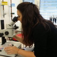 Anna Papageorgiou (@annacalypte) 's Twitter Profile