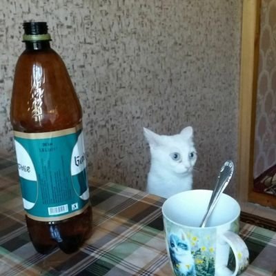 AlinkA131201's profile picture. #MonstaX #MONBEBE #Seventeen