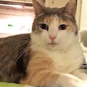 EyesofLight12's profile picture. 