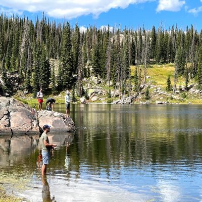 danabreakstone's profile picture. 