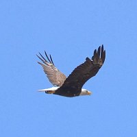 Allen Worrell (@aworrelltcn) 's Twitter Profile