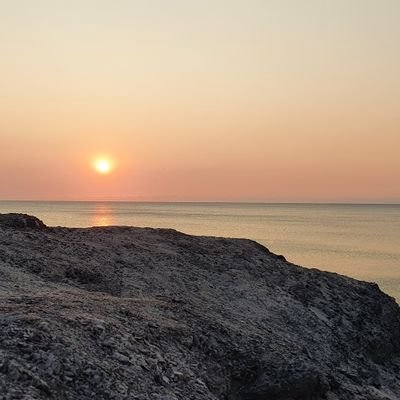 DkDepping's profile picture. bruh