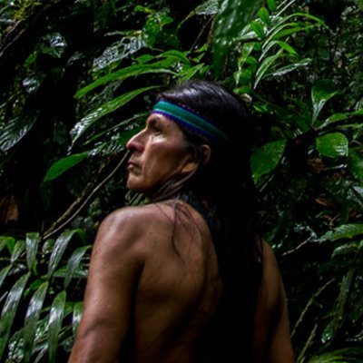 2021年10月2日（土）より #イメージフォーラム @image_forum ほか全国順次公開！#太田光海 監督の鮮烈なデビュー作となる、アマゾン先住民のエコロジカルな世界を瑞々しく斬新に描くドキュメンタリー。