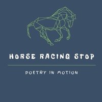 Horse Racing Stop(@HorseRacingStop) 's Twitter Profile Photo