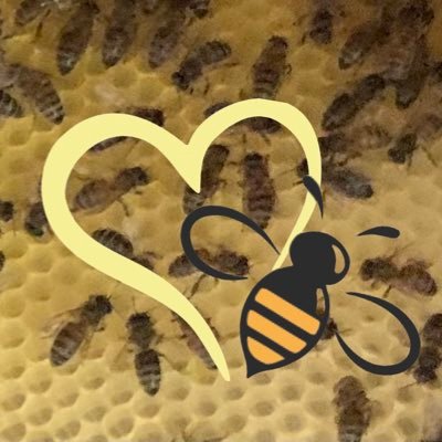 Honey Bee removal and relocation.