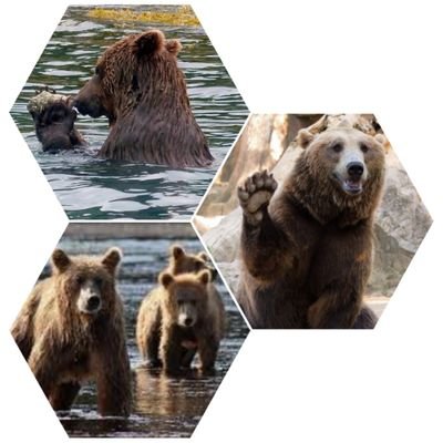 5Ositas's profile picture. 