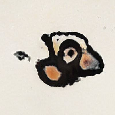 lsyloveyy's profile picture. Let’s get together https://t.co/uDeYODidiW