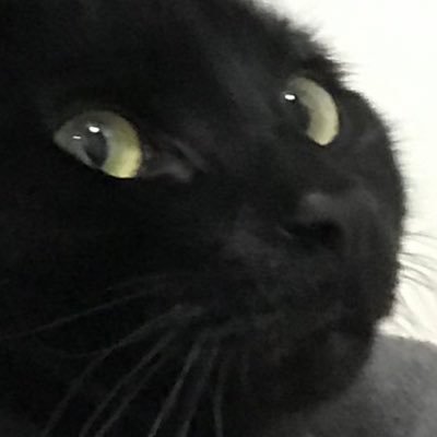 TFBossCustoms's profile picture. Toy customizer, scare actor, horror/sci-fi enjoyer, and collector.