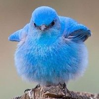 Philly😶🌫️ (@xphillyd) 's Twitter Profile