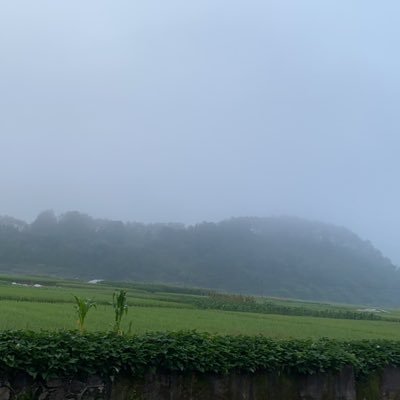 Swift46502785's profile picture. gay勿扰！！嘴炮勿扰！！申明：我是小粉红，我因身为中国人而自豪！