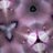 foodhaid's profile image