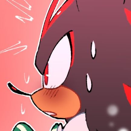 Sonadow Secret Santa ☃️