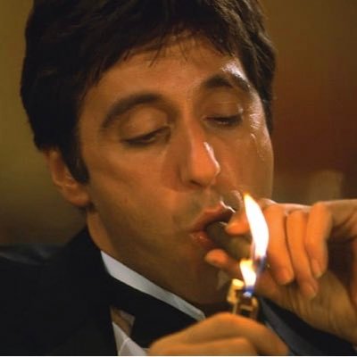 PicksPacino's profile picture. Sports Gambler