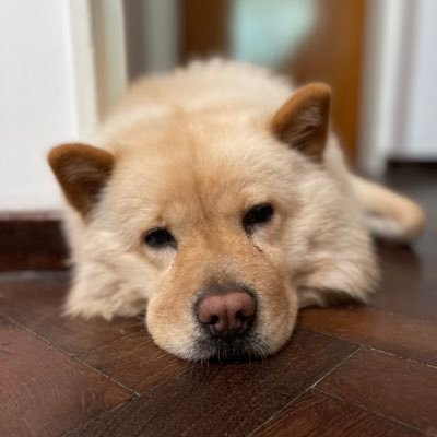 Arioca181's profile picture. 