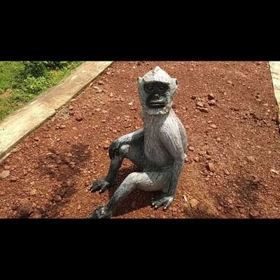 HubQuiz's profile picture. cool