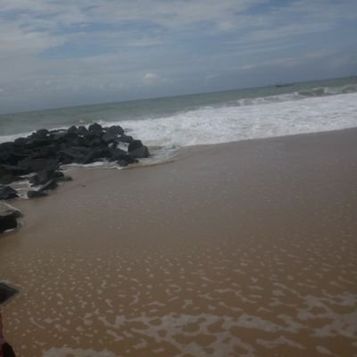 broskwetey2019's profile picture. Simple || Nature