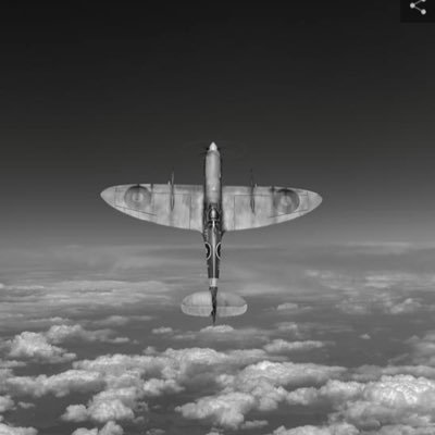 defendtherealm's profile picture. Poetry, graphic design, art, history, science, sport, curiousity, music