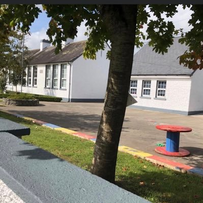 A rural primary school situated in the heart of Co. Laois . Active School. Green School. DPSM School. Blue Star School. Motto: Mol an óige agus tiocfaidh sí’.