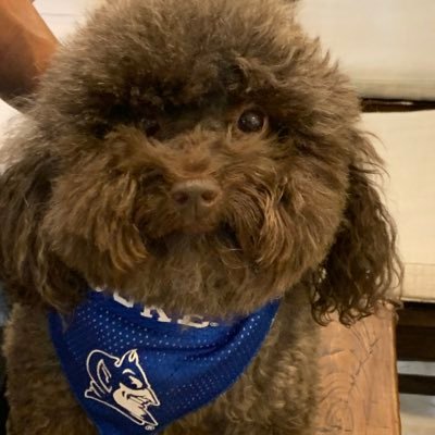 fern3110's profile picture. XC / TF Whitney Young 19 ,Duke XC/TF 2023.