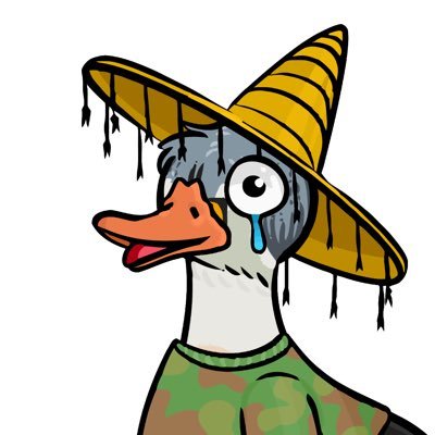 BoujCrypto's profile picture. Shiiiiiiiiiiiiiiit  🚀🌕