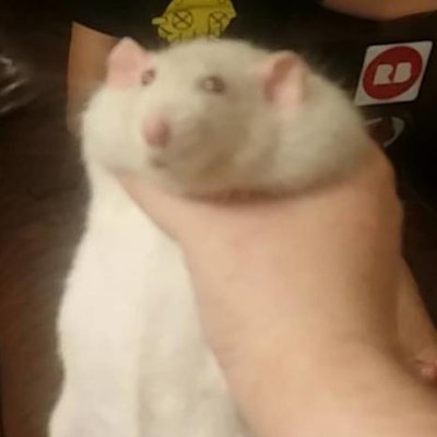 vicarpriv's profile picture. Law/Lawrence / a dude / 29 / i draw and yell about video games. especially bloodborne, honkai: star rail and ffxiv