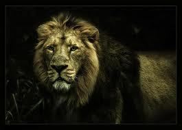 Prayer, fasting and worship God