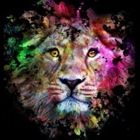 GAL MAX (@eitigree) Twitter profile photo