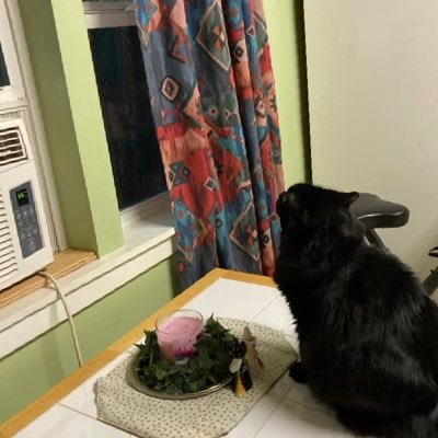 rocklein13's profile picture. 