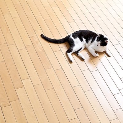 renoteinfo's profile picture. リフォームWEB情報「RENOTE」の公式アカウントです。
リフォームからインテリアまで、生活に役立つ情報をつぶやきます。