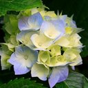 Olivia Parr - @OliviaP43747371 - Twitter