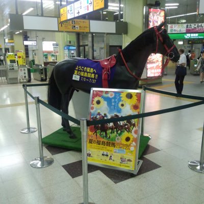 メジャーエンブレム　現地的中引退レース単勝馬券 メジャーエンブレム 現地的中引退レース単勝馬券 2025年最新