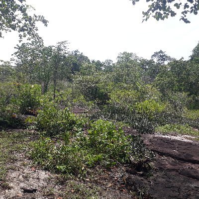 tR4dz8AW3H3SIgs's profile picture. แอบเมียมาเล่น