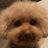 baron_MUZE