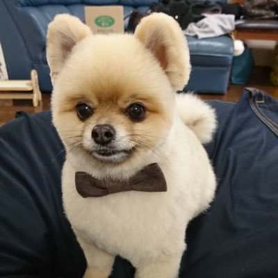ジェネが大好きな高校生です！ 片寄くんが1番の推しです🐶いつか生でジェネと会えることを願ってます!!! ジェネファンの方どんどんフォローお願いします🙏