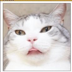 jw_iiguru55's profile picture. 元JW。高校生の時に自然消滅。無言フォロー失礼します。