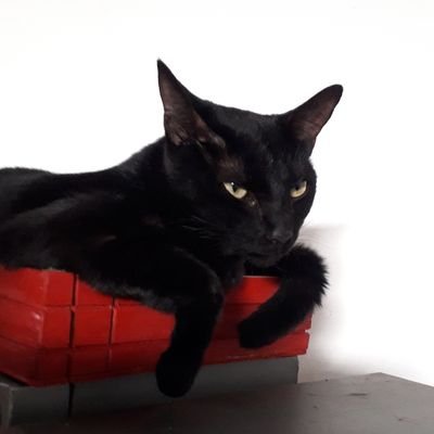 Bi0tLt's profile picture. :0