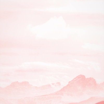 rose - closed accさんのプロフィール画像