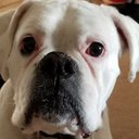 Cheri Ferguson - @CheriFerg68 - Twitter