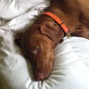 Merle West - @merle_west - Twitter