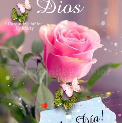 Jinchito1's profile picture. jinchito