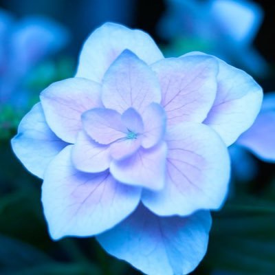 趣味専用アカウントです🎤 成人済み社会人♀お取引後のブロ解はどちらでも構いません。ご連絡いただく際は深夜や早朝でも大丈夫です。
