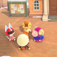 安い (@_yelinow_) Twitter profile photo