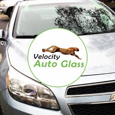 auto_velocity Profile Picture