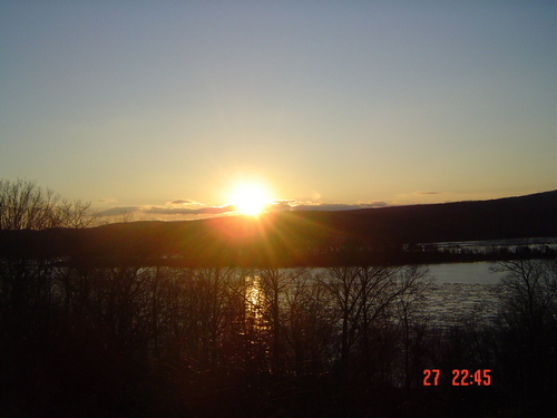 agnes295's profile picture. 