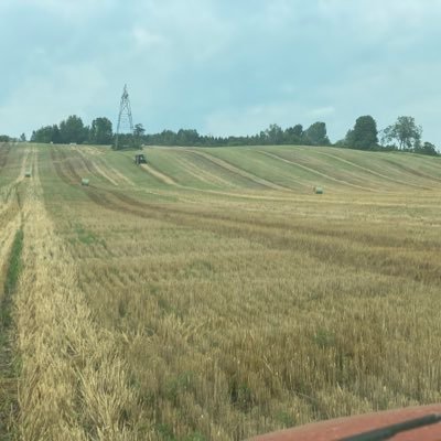 KetchesonDale's profile picture. “It’s not a field, really, but it has less rocks in it than most places” Father Ted